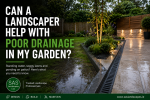 Drainage in My Garden