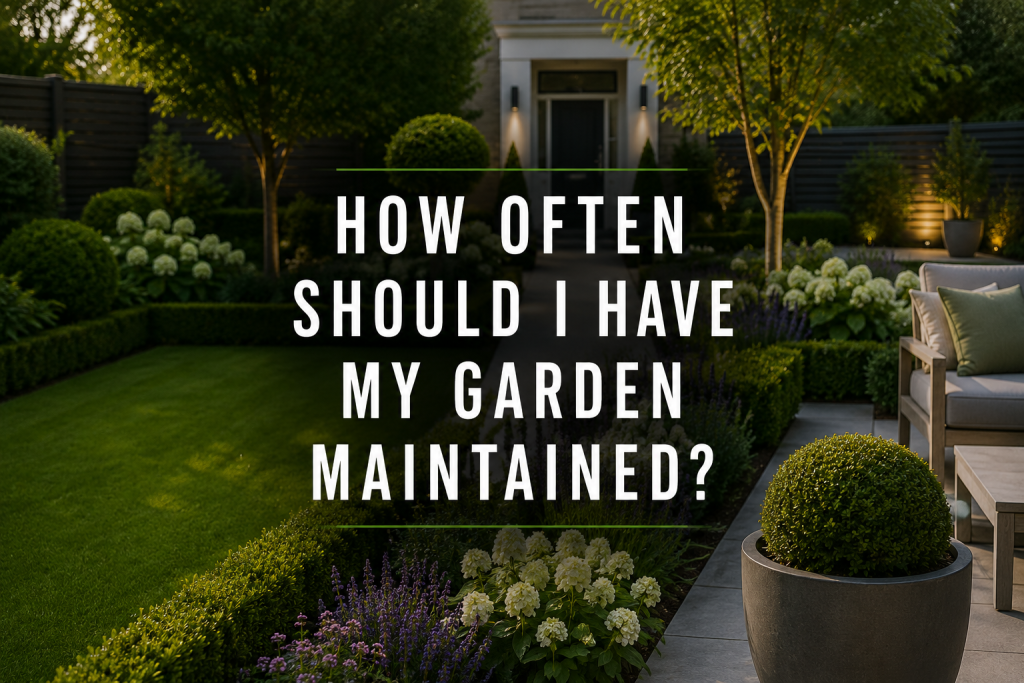How Often Should I Have My Garden Maintained
